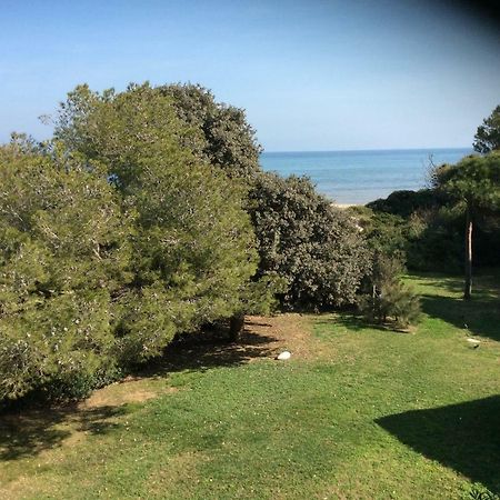 Entre Mer Et Piscine Hyères Eksteriør billede