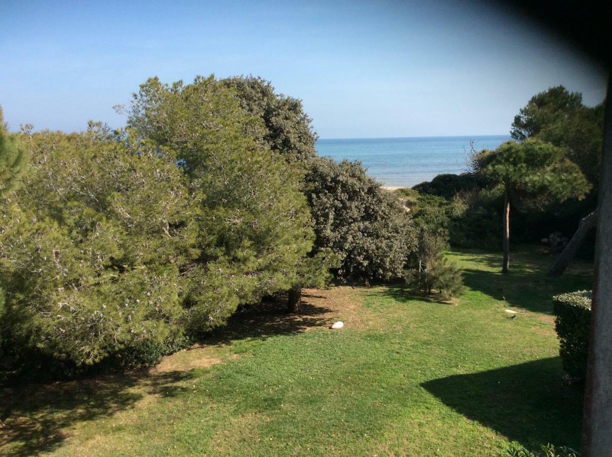 Entre Mer Et Piscine Hyères Eksteriør billede