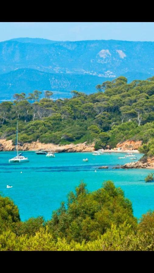 Entre Mer Et Piscine Hyères Eksteriør billede